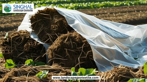 Green-Passive-Income-Ideas-YouTube-Thumbnail-12.jpg