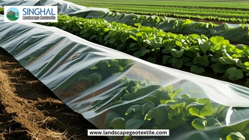 Green-Passive-Income-Ideas-YouTube-Thumbnail-7.jpg